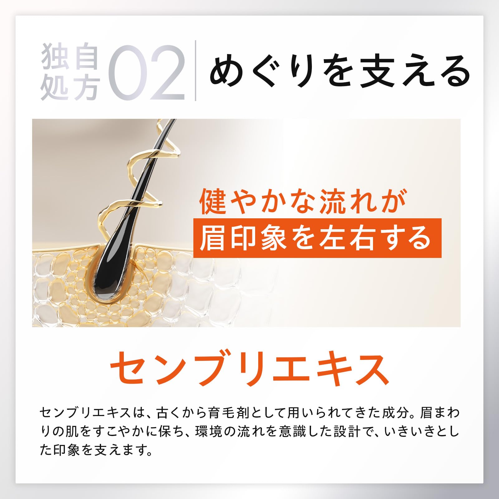 Amazon.co.jp: ドクターブロープラス 眉毛美容液 まゆげ美容液 ヒト